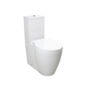 Diseño de baño más vendido inodoro de lavado --SD903
